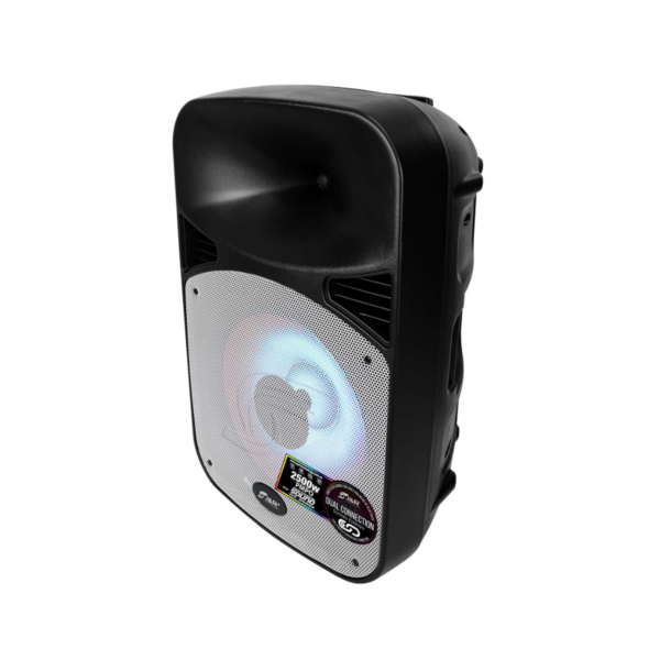 Cabina de sonido Directa J&R J5181 - 15" - Negro - Imagen 2
