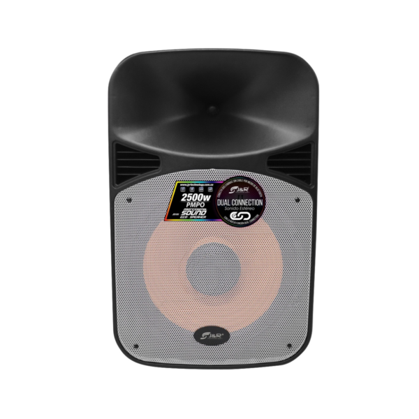 Cabina de sonido Directa J&R J5181 - 15" - Negro